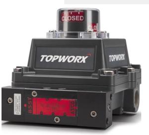 TopWorx™ ESD