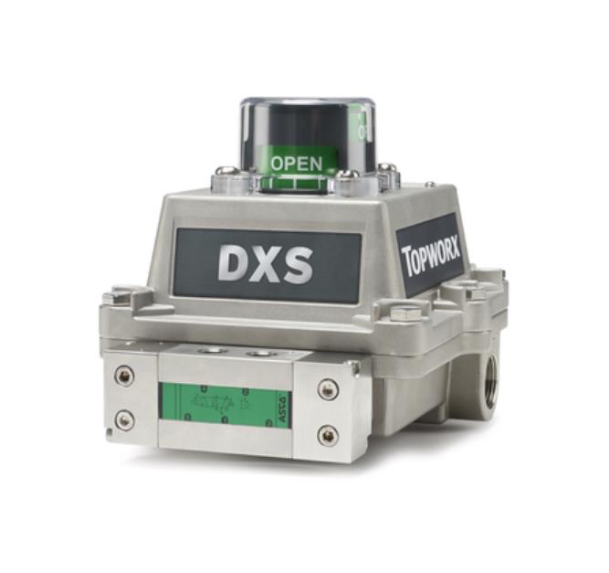 TopWorx™ DXS