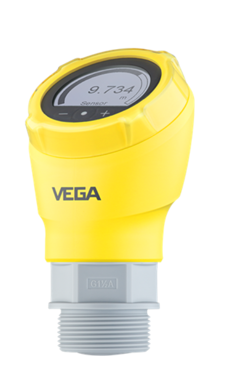 VEGA PULS 31